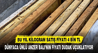 BU YIL KİLOGRAM SATIŞ FİYATI 4 BİN TL