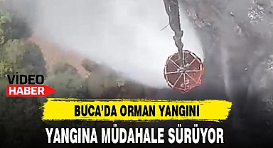BUCA'DA ORMAN YANGINI