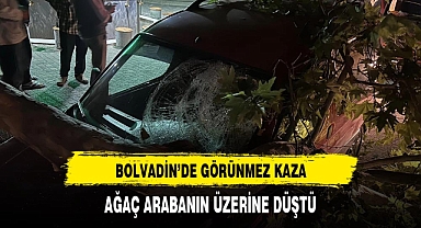 Çınar Ağacının Düşen Dalı Araca Zarar Verdi