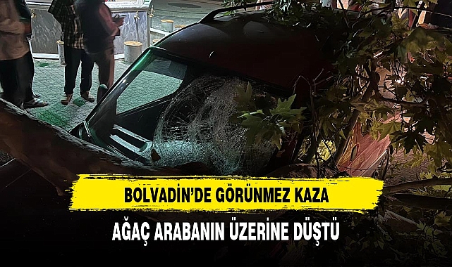 Çınar Ağacının Düşen Dalı Araca Zarar Verdi