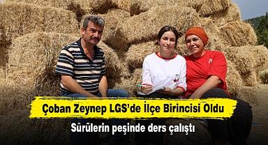 Çoban Zeynep LGS'de İlçe Birincisi Oldu! Sürülerin peşinde ders çalıştı