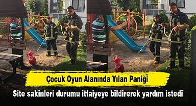 Çocuk Oyun Alanında Yılan Paniği! Site sakinleri durumu itfaiyeye bildirerek yardım istedi