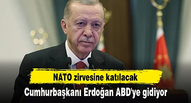 Cumhurbaşkanı Erdoğan ABD'ye gidiyor: NATO zirvesine katılacak