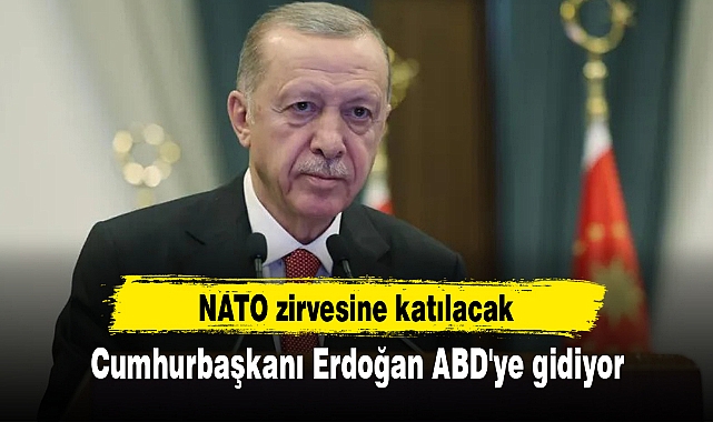 Cumhurbaşkanı Erdoğan ABD'ye gidiyor: NATO zirvesine katılacak