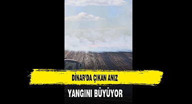 Dinar'da Çıkan Anız Yangını Büyüyor