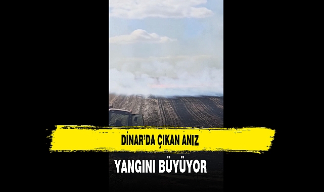 Dinar'da Çıkan Anız Yangını Büyüyor