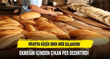 Dinar’da Küçük Sinek Mide Bulandırdı Ekmeğin İçinden Çıkan Pes Dedirtirdi