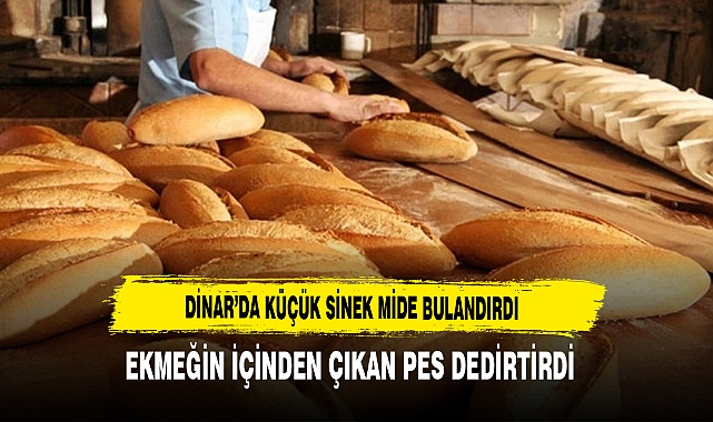 Dinar’da Küçük Sinek Mide Bulandırdı Ekmeğin İçinden Çıkan Pes Dedirtirdi
