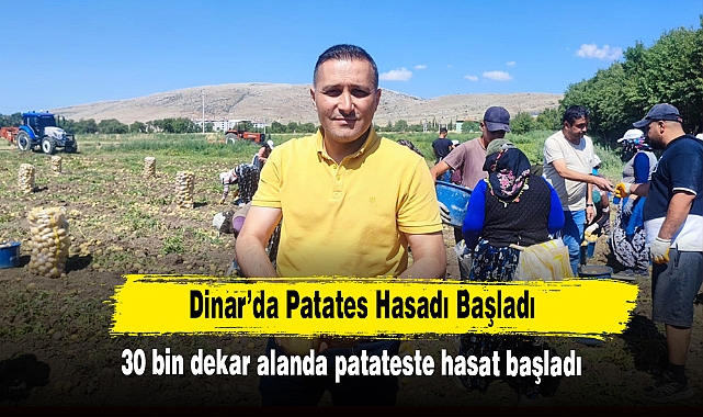 Dinar’da Patates Hasadı Başladı!