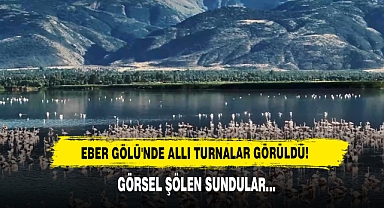 Eber Gölü'nde Allı Turnalar Görüldü!