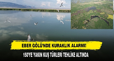 Eber Gölü'nde Kuraklık Alarmı!