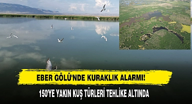 Eber Gölü'nde Kuraklık Alarmı!
