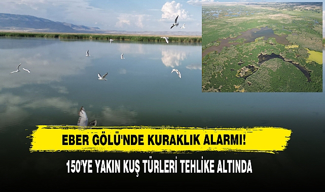 Eber Gölü'nde Kuraklık Alarmı!