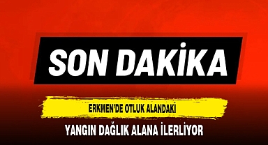 Erkmen’de Otluk Alandaki Yangın Dağlık Alana İlerliyor