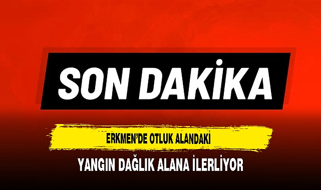 Erkmen’de Otluk Alandaki Yangın Dağlık Alana İlerliyor