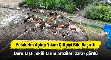 Felaketin Açtığı Yıkım Çiftçiyi Bile Şaşırttı: Dere taştı, ekili tarım arazileri zarar gördü