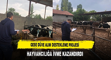 Gebe Düve Alım Destekleme Projesi Hayvancılığa İvme Kazandırdı