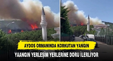 İstanbul'daki Aydos Ormanı'nda yangın çıktı! Alevler yerleşim yerlerine doğru ilerliyor