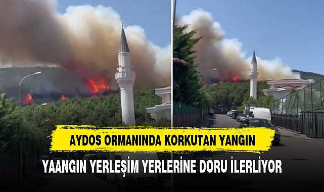 İstanbul'daki Aydos Ormanı'nda yangın çıktı! Alevler yerleşim yerlerine doğru ilerliyor
