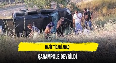 Hafif Ticari Araç Şarampole Devrildi