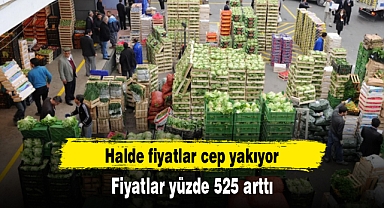 Halde fiyatlar cep yakıyor: Fiyatlar yüzde 525 arttı