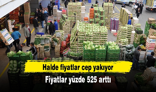 Halde fiyatlar cep yakıyor: Fiyatlar yüzde 525 arttı