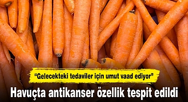 Havuçta antikanser özellik tespit edildi