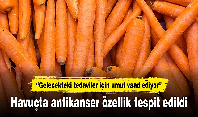 Havuçta antikanser özellik tespit edildi