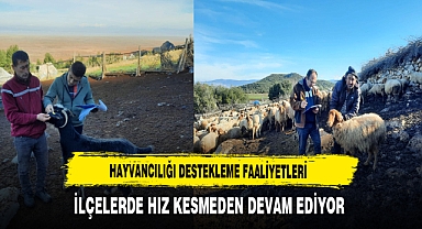 Hayvancılığı Destekleme Faaliyetleri İlçelerde Hız Kesmeden Devam Ediyor