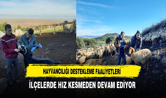 Hayvancılığı Destekleme Faaliyetleri İlçelerde Hız Kesmeden Devam Ediyor