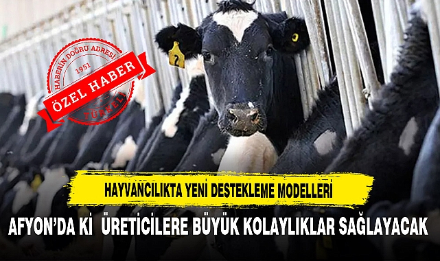 Hayvancılıkta Yeni Destekleme Modelleri Afyon'daki Üreticilere Büyük Kolaylıklar Sağlayacak Detaylar Haberimizde...
