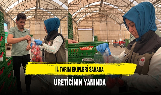 İl Tarım Ekipleri Sahada Üreticinin Yanında