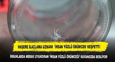 İnsanlarda Merak Uyandıran 'İnsan Yüzlü Örümceği' Kavanozda Besliyor!