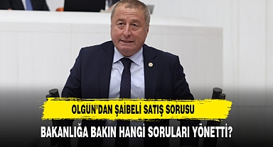 İYİ Partili Olgun'dan Şaibeli Satış Sorusu