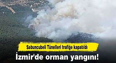 İzmir'de orman yangını!