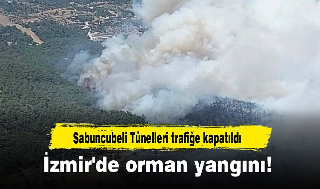 İzmir'de orman yangını!