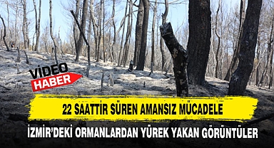 İzmir'deki Ormanlardan Yürek Yakan Görüntüler