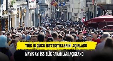 Mayıs Ayı İşsizlik Rakamları Açıklandı