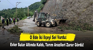 O İlde İki İlçeyi Sel Vurdu: Evler Sular Altında Kaldı, Tarım Arazileri Zarar Gördü!