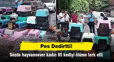 Pes Dedirtti!: Sözde hayvansever kadın 85 kediyi ölüme terk etti