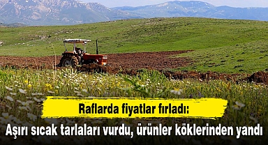 Raflarda fiyatlar fırladı: Aşırı sıcak tarlaları vurdu, ürünler köklerinden yandı