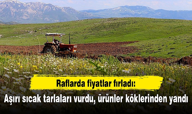Raflarda fiyatlar fırladı: Aşırı sıcak tarlaları vurdu, ürünler köklerinden yandı