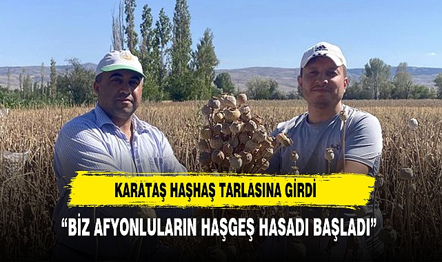 Saadet Partili Karataş’ın   Haşhaş Hasadı Heyecanı