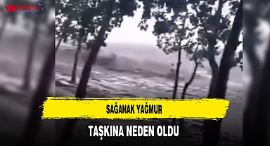Sağanak Yağmur Taşkına Neden Oldu