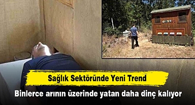 Sağlık Sektöründe Yeni Trend! Binlerce arının üzerinde yatan daha dinç kalıyor
