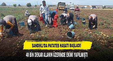 SANDIKLI'DA PATATES HASATI BAŞLADI!