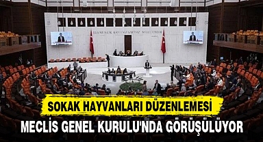 SOKAK HAYVANLARI DÜZENLEMESİ
