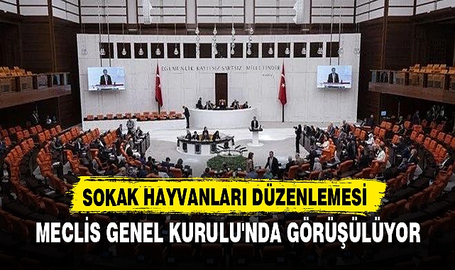SOKAK HAYVANLARI DÜZENLEMESİ