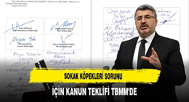 Sokak Köpekleri Sorunu İçin Kanun Teklifi TBMM'de