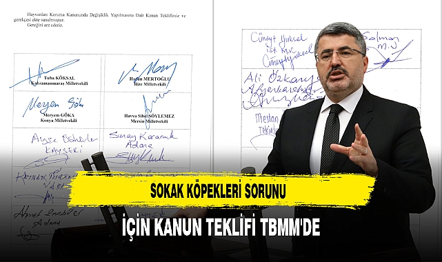 Sokak Köpekleri Sorunu İçin Kanun Teklifi TBMM'de